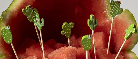 DECORATIVE PICKS, CACTUS, 100  PER PACK