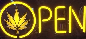 NEON &quot;OPEN&quot; SIGN W/CANNABIS  LEAF (12&quot;hx24&quot;w)